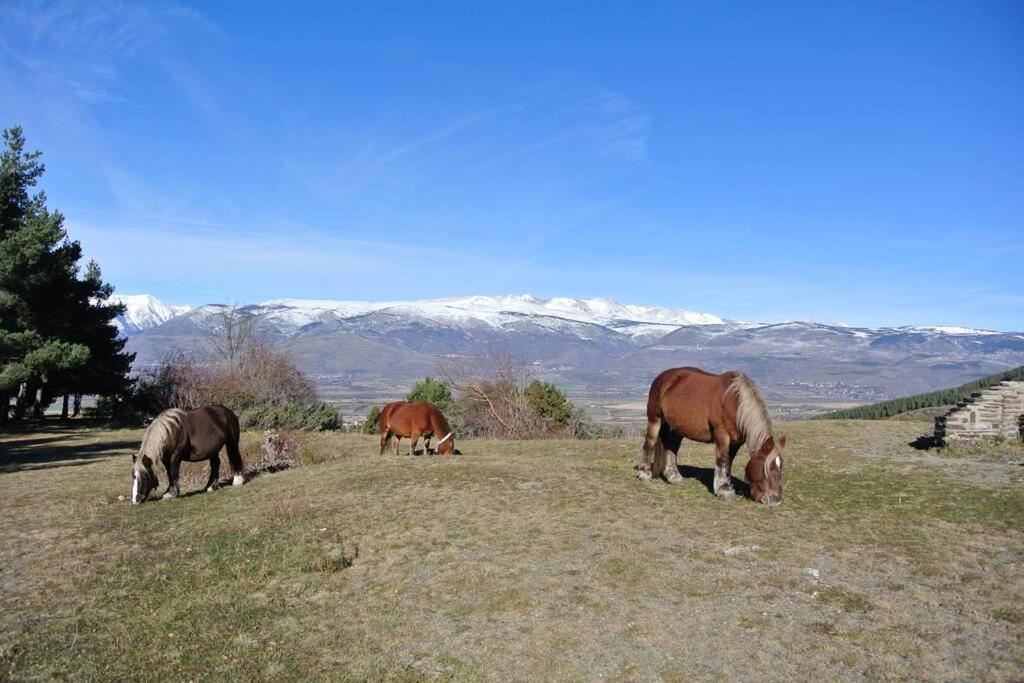 Font-Romeu La Plane Sud - Vue Panoramique公寓 外观 照片